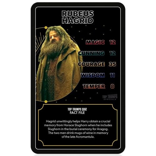 Настольная игра Winning Moves Harry Potter Quiz - Heroes of Hogwarts (WM02879-EN1-6) купить в Украине | Telemart фото