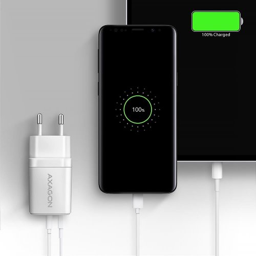 Мережевий зарядний пристрій AXAGON USB + USB Type-C 20W (ACU-PQ20W) White купити в Україні | Telemart фото