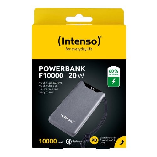 Powerbank Intenso F10000 10000mAh 20W (7332034) Gray купити в Україні | Telemart фото