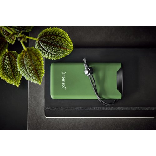 Powerbank Intenso F10000 10000mAh 20W (7332037) Green купити в Україні | Telemart фото