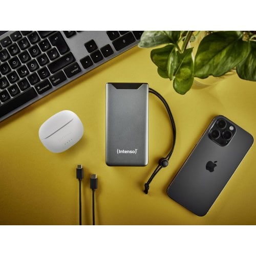 Powerbank Intenso F20000 20000mAh 20W (7332054) Grey купити в Україні | Telemart фото