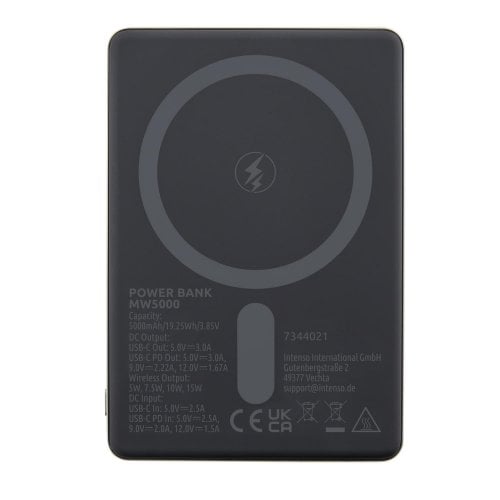 Powerbank Intenso MW5000 5000mAh 20W (7344021) Champagne купить в Украине | Telemart фото