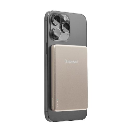 Powerbank Intenso MW5000 5000mAh 20W (7344021) Champagne купить в Украине | Telemart фото