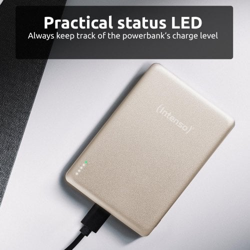 Powerbank Intenso MW5000 5000mAh 20W (7344021) Champagne купить в Украине | Telemart фото