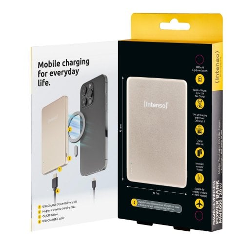 Powerbank Intenso MW5000 5000mAh 20W (7344021) Champagne купить в Украине | Telemart фото