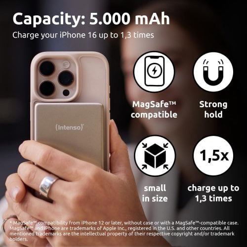 Powerbank Intenso MW5000 5000mAh 20W (7344021) Champagne купить в Украине | Telemart фото