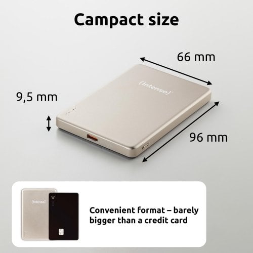 Powerbank Intenso MW5000 5000mAh 20W (7344021) Champagne купить в Украине | Telemart фото