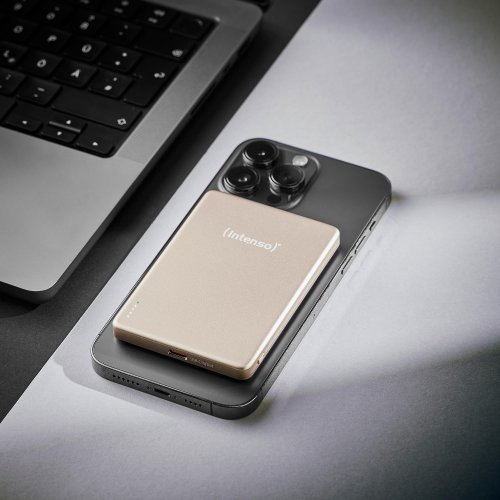 Powerbank Intenso MW5000 5000mAh 20W (7344021) Champagne купить в Украине | Telemart фото