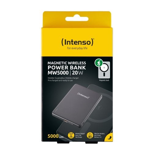 Powerbank Intenso MW5000 5000mAh 20W (7344024) Grey купить в Украине | Telemart фото