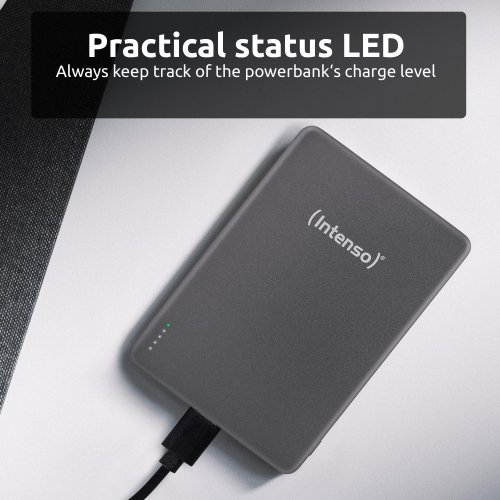 Powerbank Intenso MW5000 5000mAh 20W (7344024) Grey купить в Украине | Telemart фото
