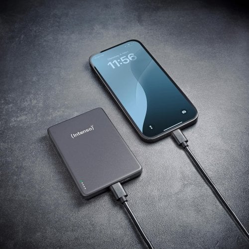 Powerbank Intenso MW5000 5000mAh 20W (7344024) Grey купить в Украине | Telemart фото