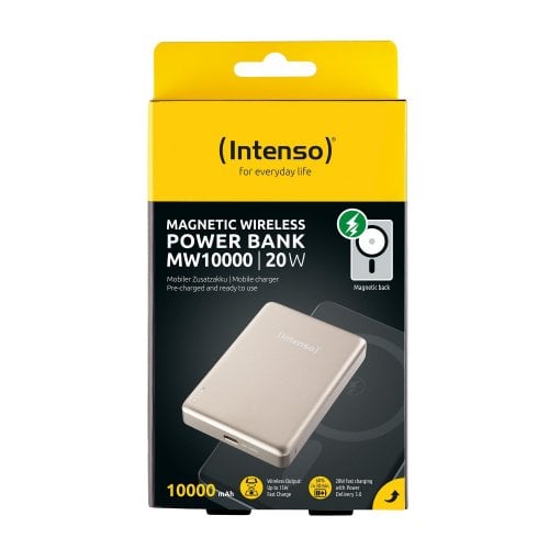 Powerbank Intenso MW10000 10000mAh 20W (7344031) Champagne купить в Украине | Telemart фото