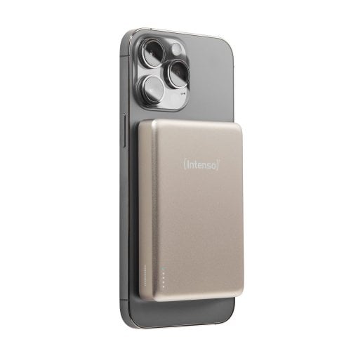 Powerbank Intenso MW10000 10000mAh 20W (7344031) Champagne купить в Украине | Telemart фото