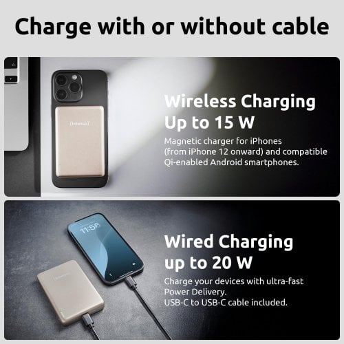 Powerbank Intenso MW10000 10000mAh 20W (7344031) Champagne купить в Украине | Telemart фото
