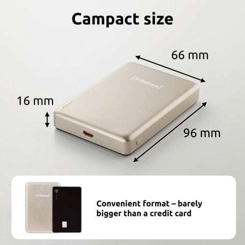 Powerbank Intenso MW10000 10000mAh 20W (7344031) Champagne купить в Украине | Telemart фото