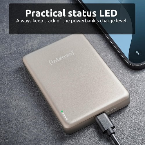 Powerbank Intenso MW10000 10000mAh 20W (7344031) Champagne купить в Украине | Telemart фото