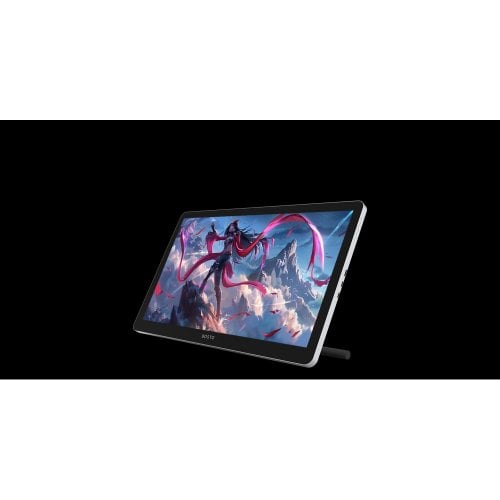 Графический монитор Bosto BT-19HDT(M) Black купить в Украине | Telemart фото