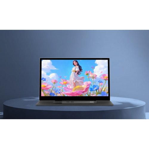 Графический монитор Bosto P120T Black купить в Украине | Telemart фото