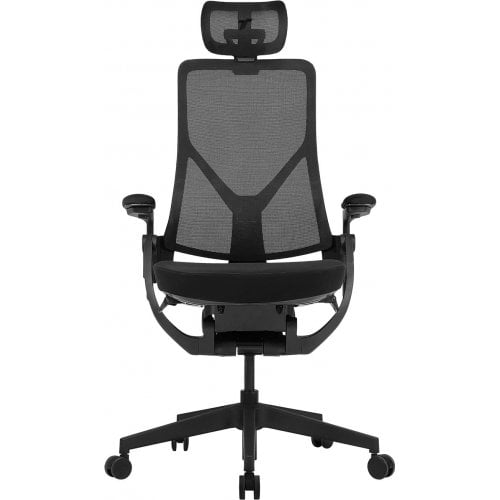 Эргономичное кресло TTRacing Aeroflex (TTARFX-001) Graphite Black купить в Украине | Telemart фото