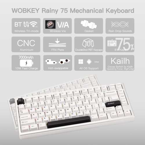 Клавиатура WOBKEY Rainy 75 Pro RGB Kailh Cocoa Switch Wireless (6976818170225) Silver купить в Украине | Telemart фото