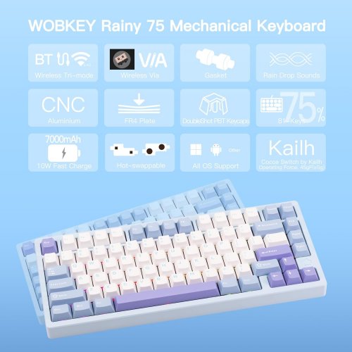 Клавиатура WOBKEY Rainy 75 Pro RGB Kailh Cocoa Switch Wireless (6976818170201) Blue купить в Украине | Telemart фото