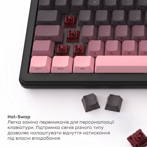 Клавиатура Ajazz MK87 RGB Pitaya Switch Wireless (MK87-P-S-P) Black/Pink купить в Украине | Telemart фото