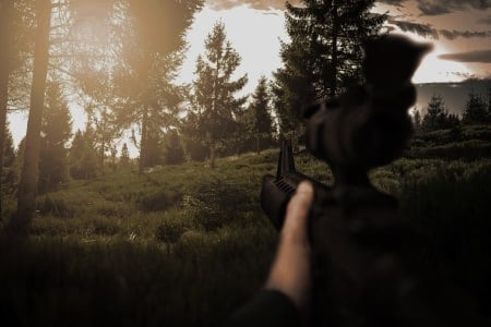 FPS