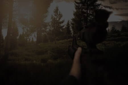 FPS