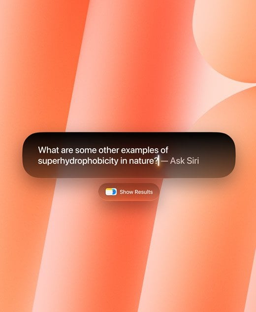Siri AI в Spotlight